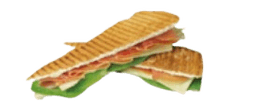 Panini